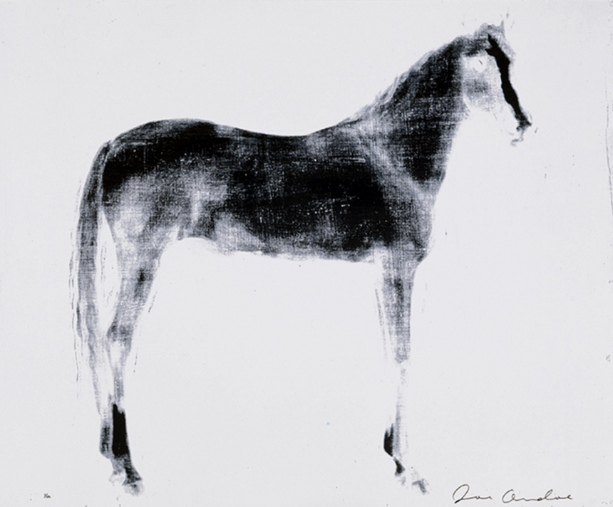 Horse X 12 (White Reversal)