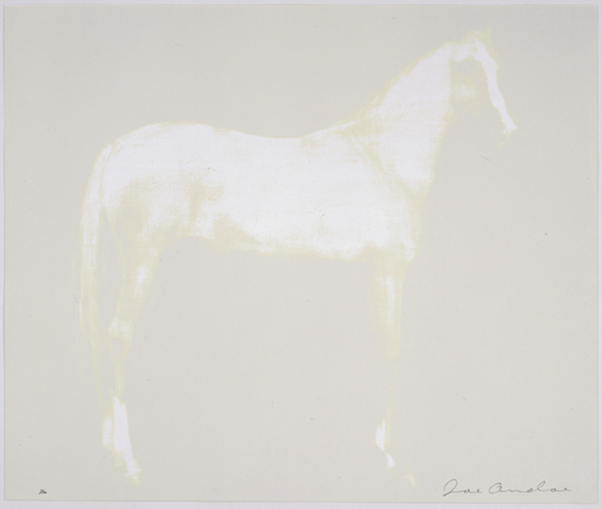 Horse X 12 (White)