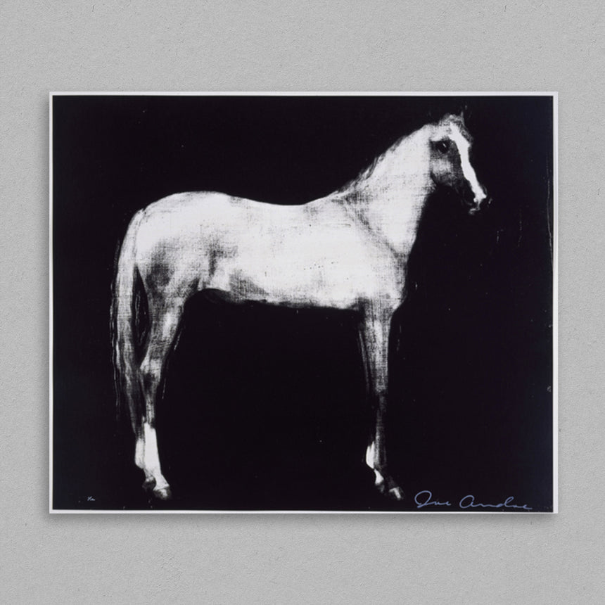Horse X 12 (Black)